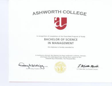 Bachelors of Science- Management